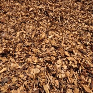 Pine Wood Chips