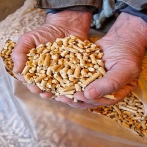 Pirkite Medienos Granules 6mm